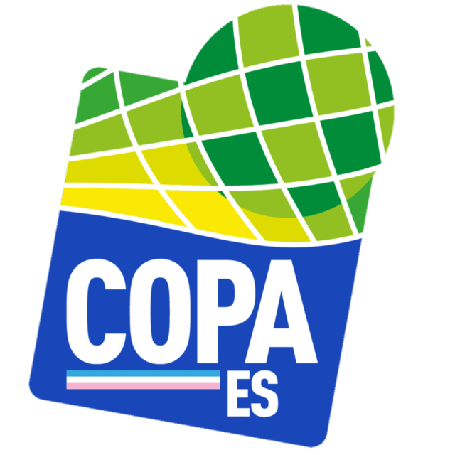 Brazil - Copa Espírito Santo