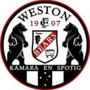 Weston Bears logo
