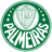 Palmeiras U20 logo