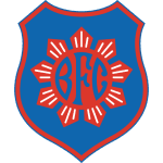 Bonsucesso logo