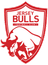Jersey Bulls logo