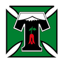 Deportes Temuco logo