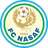 Nasaf logo