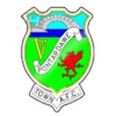 Pontardawe Town logo