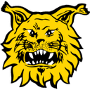Ilves logo