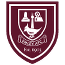 AFC Emley logo