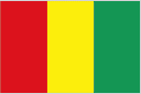 Guinea logo