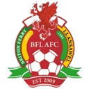 Briton Ferry logo