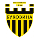 Bukovyna logo