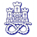Newcastle Town logo