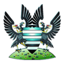 Salisbury logo